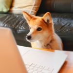【人事担当者必見】テレワークで使える無料サービスまとめ厳選20選